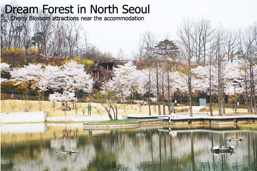 In North Pangsapuri Seoul